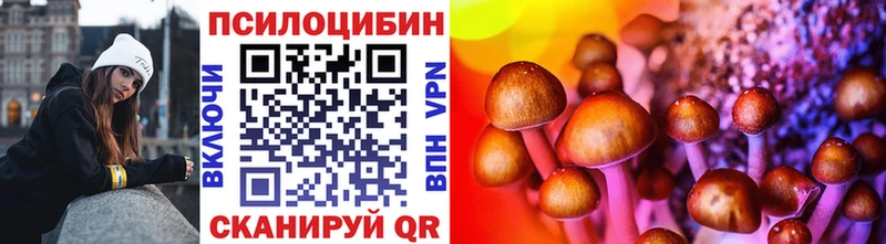 Галлюциногенные грибы Magic Shrooms  продажа наркотиков  Приморско-Ахтарск 