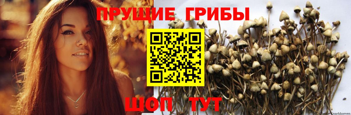 Галлюциногенные грибы мухоморы  Вход с VPN  Приморско-Ахтарск 